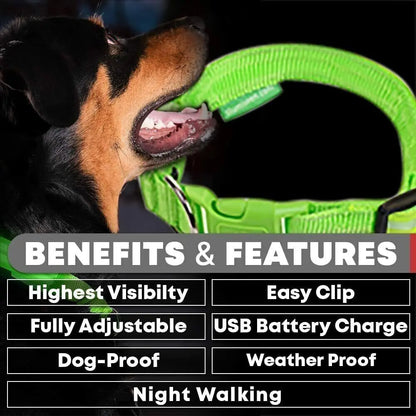 USB Rechargeable LED Pet Dog Collar Flashing Luminous Safety Light up Nylon UK