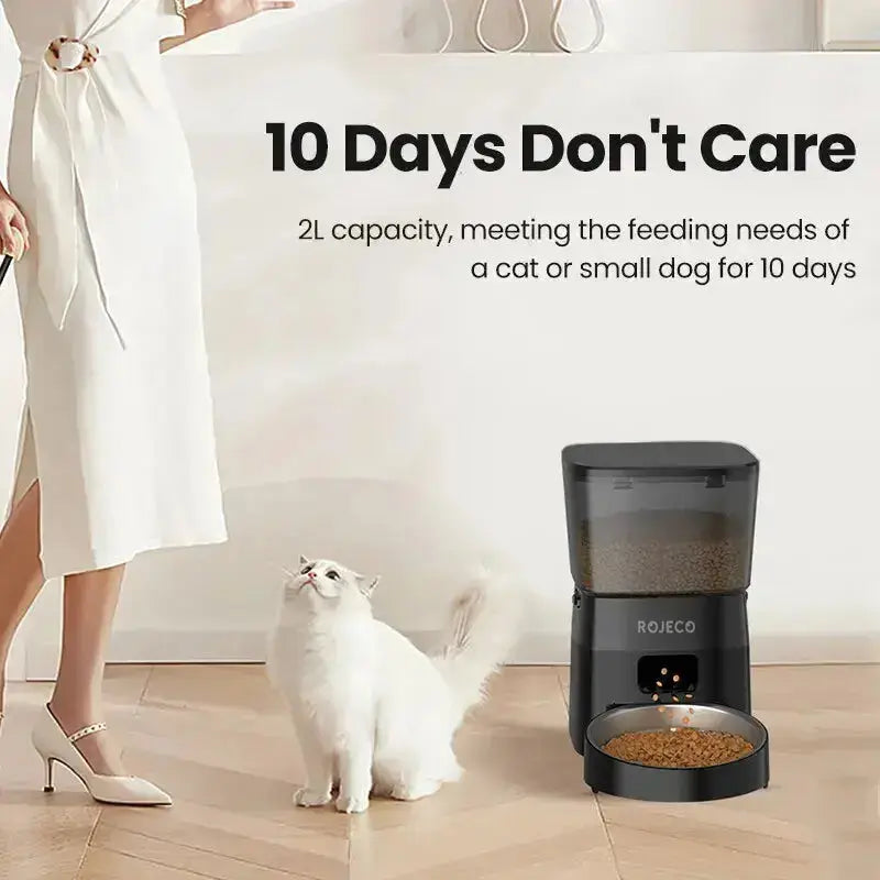 Automatic Pet Feeder for Dogs and Cats