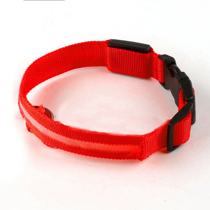 USB Rechargeable LED Pet Dog Collar Flashing Luminous Safety Light up Nylon UK