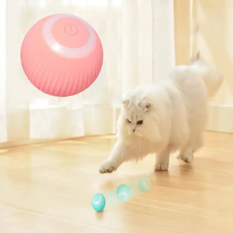 Automatic Rolling Ball Smart Cat Dog Toy Electric Pet Self-Moving Kitten Game Uk